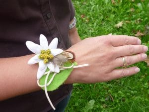 Edelweiß Armband